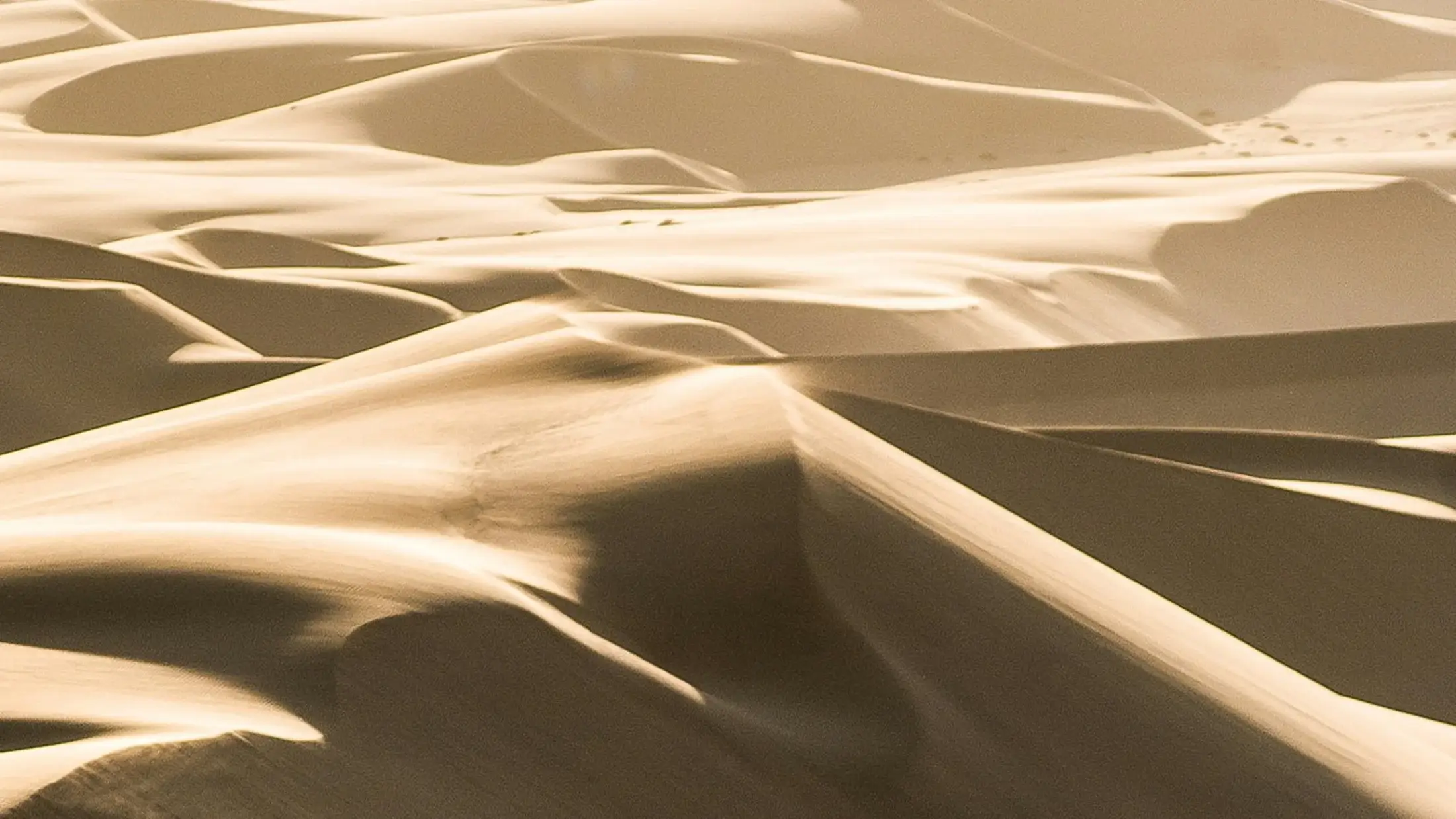 tabu design Blog - Beitragsbild "Sanddünen in der Wüste"