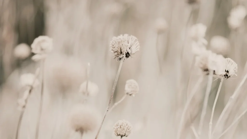 Dekorativevs Beitragsbild zum Blogpost "Wenn der Kopf plötzlich leer ist - die Schreibblockade"