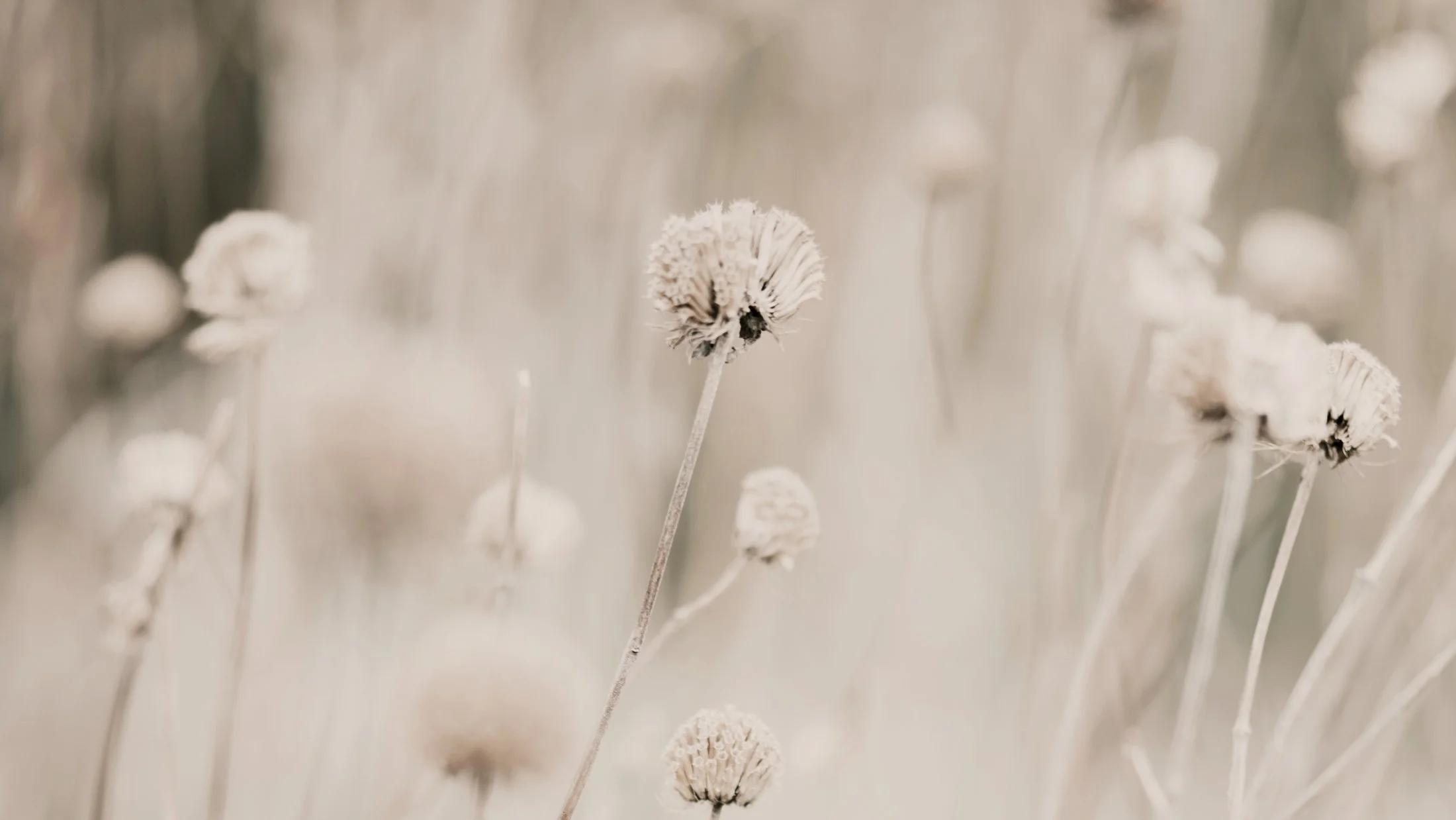 Dekorativevs Beitragsbild zum Blogpost "Wenn der Kopf plötzlich leer ist - die Schreibblockade"
