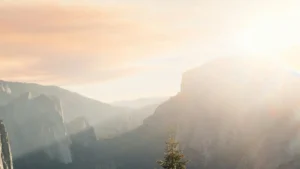 tabudesign | SEO-Texte schreiben